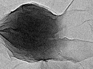 Imagen de microscopía electrónica de transmisión de una nanopartícula de polímero conjugado de unos 100 nm en diámetro en contacto con láminas de óxido de grafeno. / A.Benito y E. Istif (ICB-CSIC)