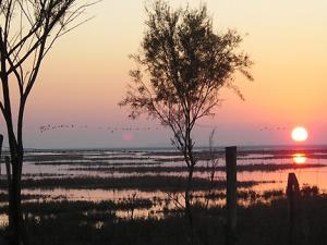 Atardecer en Doñana. / Fotoquimico (WIKIMEDIA)