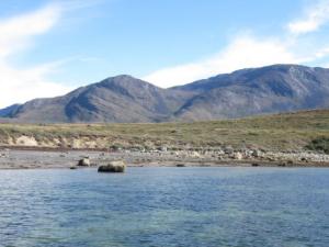 Costas de Groenlandia donde se han estudiado las praderas submarinas de Zostera marina, que se aprecian como manchas oscuras. / Núria Marbà (CSIC)