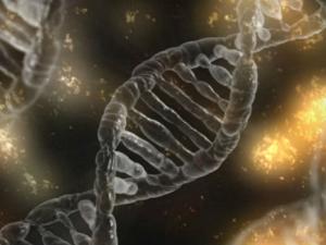CRISPR/Cas9 puede causar daños imprevistos