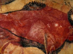 Un paso más para conocer el entorno de la cueva de Altamira. / janeb13 (PIXABAY)