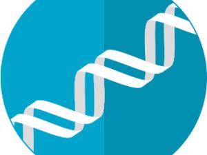 El estudio determina que los genomas de dos tipos de humanos modernos con ascendencia denisovana -individuos de Oceanía y de Asia Oriental-. / mcmurryjulie (PIXABAY)