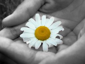 La neurociencia encuentra el vínculo entre generosidad y felicidad