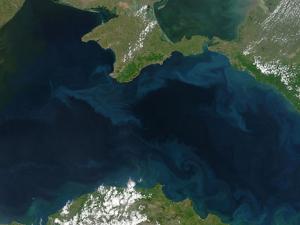 Un navío de 2.400 años, casi intacto en las profundidades del mar Negro