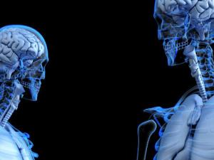 NOTCH2NL, los genes que hacen a nuestro cerebro humano. / www_slon_pics (PIXABAY)