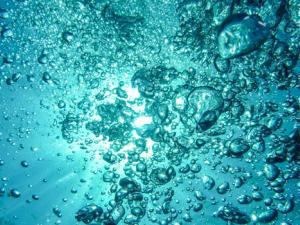 Nace 'Oceánicas', la web de las mujeres que cuidan los océanos