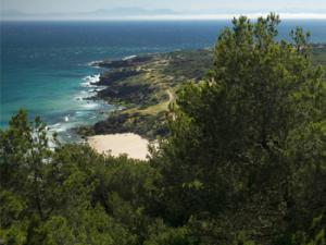 Pulmón verde en el Estrecho de Gibraltar. / Francisco Manuel Esteban (FLICKR)
