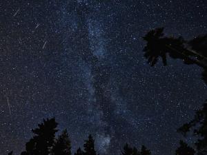 No te pierdas las perseidas