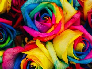 La gente creativa ve el mundo de otro modo