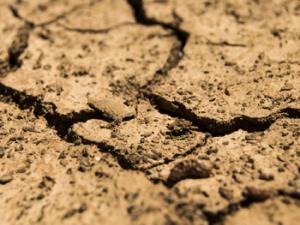 Desertificación de la tierra. / daeron (PIXABAY)