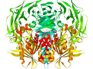 Dipeptidil peptidasa-IV.