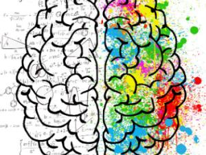 El hospital de Alcorcón comenzó a custodiar tejido cerebral en 1998, aunque tiene la categoría de biobanco desde el año 2007. En esa primera fase, entre 1998 y 2007, el hospital almacenó e investigó 2.025 cerebros. / ElisaRiva (PIXABAY)