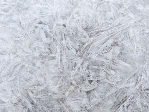 Cómo han llegado al Ártico las temidas superbacterias resistentes a los antibióticos