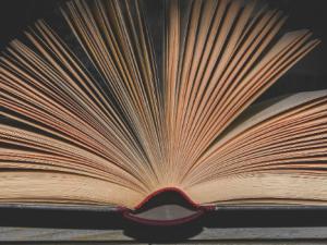 Del CERN a superventas: la española que arrasa con sus novelas de física para jóvenes. / Skitterphoto (PIXABAY)