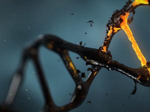 Una enigmática fusión entre células potencia la metástasis