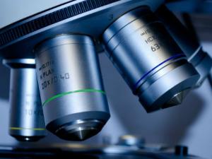 La victoria de la ciencia sobre los atajos del cerebro