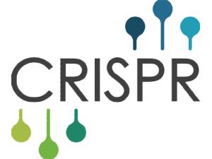 CRISPR. / RicardoGuimaraes (WIKIMEDIA COMMONS)