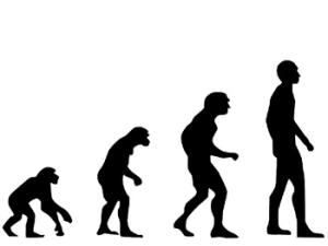 El cerebro está adaptando a nuevos usos capacidades favorecidas por la evolución para realizar tareas antiguas. / ConexaoCabeca (PIXABAY)