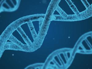 Secuencia de ADN. / qimono (PIXABAY)