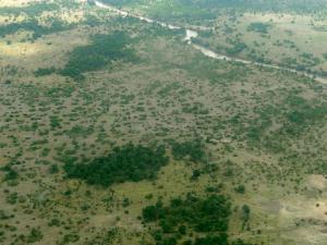 Vista aérea del río Masai Mara cruzando el parque nacional. El río Mara en Kenia. / Morris Pügner (WIKIMEDIA)