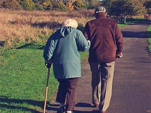 Las conclusiones muestran que las féminas también resisten mejor en estas horribles condiciones y destapan un hecho sorprendente.  / coombesy (PIXABAY)