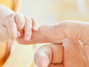 Arturo Álvarez-Buylla explica que empezaron este estudio "tratando de confirmar que había neurogénesis en el cerebro adulto, no de negarlo". / RitaE (PIXABAY)