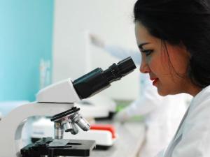 La diferencia entre solicitudes femeninas y masculinas, aunque aún grande, se ha acortado en la última década. / fernandozhiminaicela (PIXABAY)