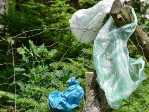Bolsas de plástico ensuciando el medio ambiente. / RitaE (PIXABAY)