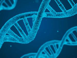 La niña, nombrada Pequeño Amanecer, solo vivió entre seis y doce semanas y fue enterrada en las cercanías del río Upward Sun, en la parte central de Alaska. / qimono (PIXABAY)