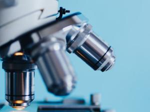 Una red para descifrar los misterios de las nuevas terapias contra el cáncer