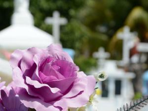 Por ahora, además de nuestra especie, solo los neandertales parecen gozar (o sufrir) de la capacidad de abstracción y previsión suficiente para asumir su mortalidad y la de sus congéneres y actuar con la solemnidad que demanda ese conocimiento. / vlanka (PIXABAY)