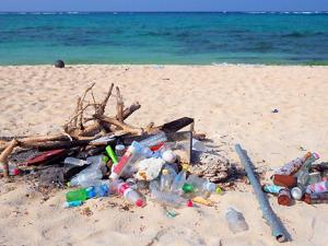 Los humanos ya han generado 8.300 millones de toneladas de plástico