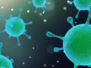 Los virus y las bacterias se depositan en el suelo por el lavado atmosférico de la lluvia o por simple gravedad. / PublicDomainPictures (PIXABAY)