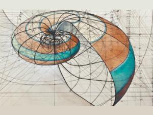 Una muestra que une la zoología, las matemáticas y el arte. / MNCN-CSIC