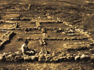 Schulten y el descubrimiento de Numantia