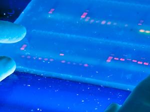 ¿El año que viene, más jóvenes con las herramientas epigenéticas?