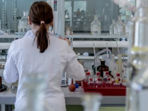 En su edición de 2018, los Premios Fundación Lilly de Investigación Biomédica serán otorgados a los doctores Ángela Nieto, en la categoría de Preclínica, y al doctor Alvar Agustí, en la de Clínica. / jarmoluk (PIXABAY)