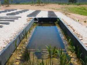 Nueva edición de la Noche del Agua en Alcalá de Henares