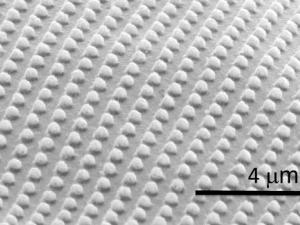 Celulosa fotónica iridiscente. / ICMAB