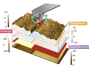Composición en 3D en el que se representa la punta que escanea la superficie junto con el resto de propiedades del material: su topografía, la generación de carga piezoeléctrica (fA) y su respuesta electromecánica. Imágenes de 30 x 15 micrómetros. / ICMAB
