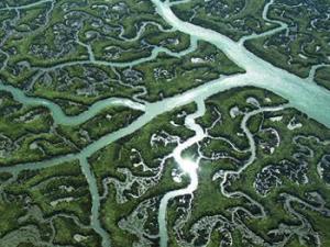 Parque de Doñana. / 2il org (FLICKR)