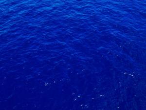 Innovador sistema autónomo para monitorizar bancos de peces. / IMDEA NETWORKS