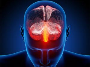 Ilustración del cerebro humano con millones de nervios pequeños. / ra2 studio - Fotolia.com -  Ars Electronica (FLICKR)