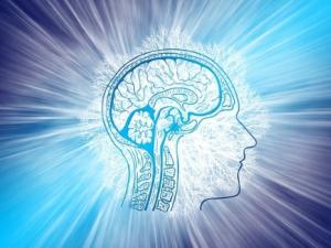 intelligence-g60a5e6a6b_1280