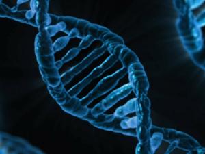 Ilustración de cadena de ADN. / PublicDomainPictures (PIXABAY)