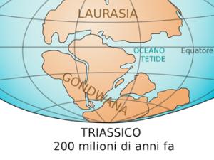 El abuelo de los hongos