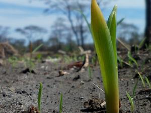Agricultura para la era de la conquista espacial