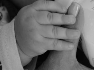 La alergia alimentaria es una patología que afecta al 8% de la población infantil en países industrializados. / mariagarzon (PIXABAY)