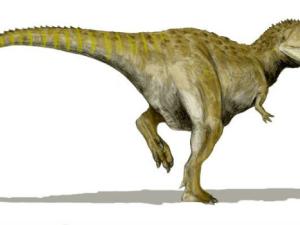 Mapusaurus roseae, un carcharodontosáurido del Cretácico superior de Argentina, dibujo a lápiz. / Nobu Tamura (WIKIMEDIA)