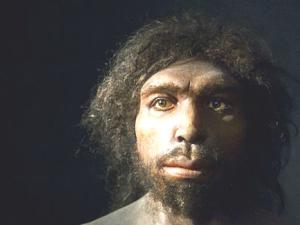 El Homo antecessor es tan viejo como dicen. / Milena Guardiola (WIKIMEDIA)